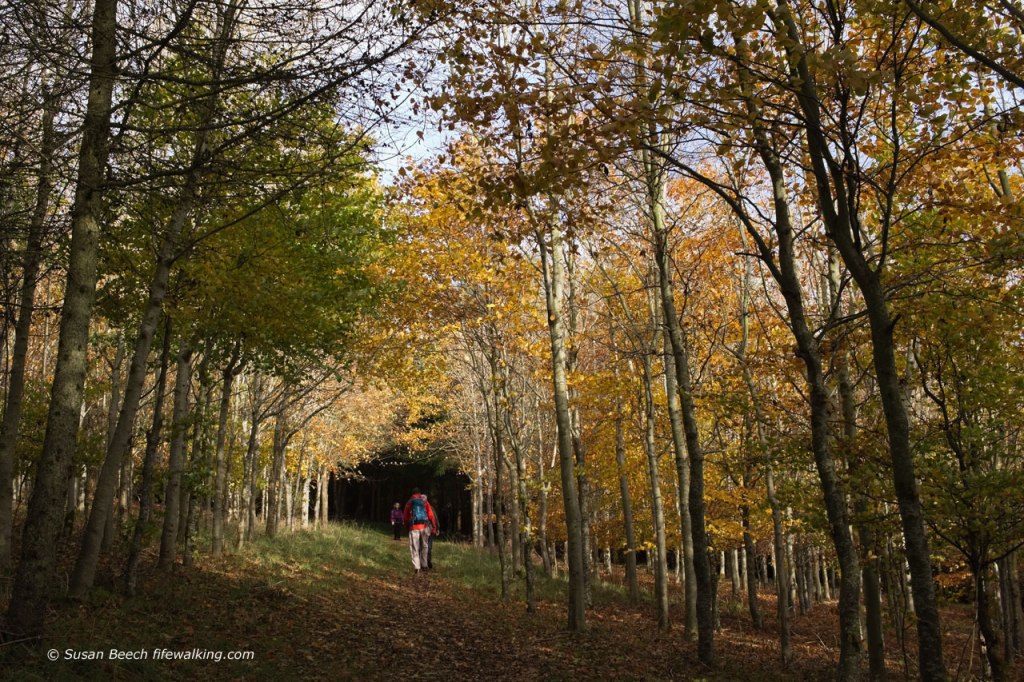 Route up Lucklaw Hill