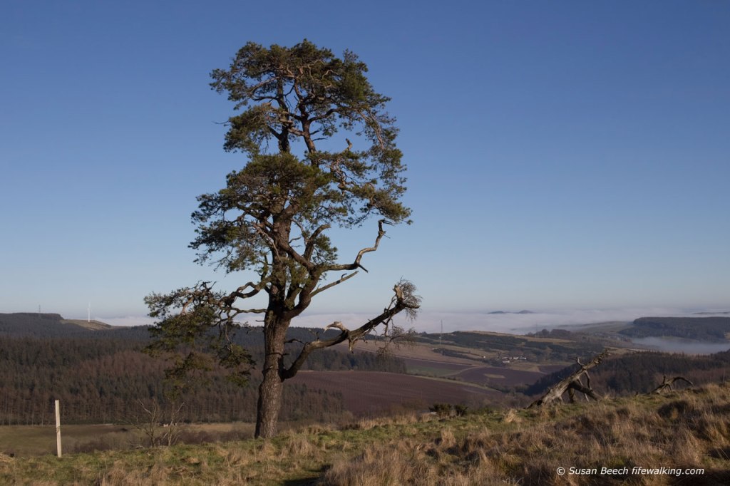 View from Piltour Hill
