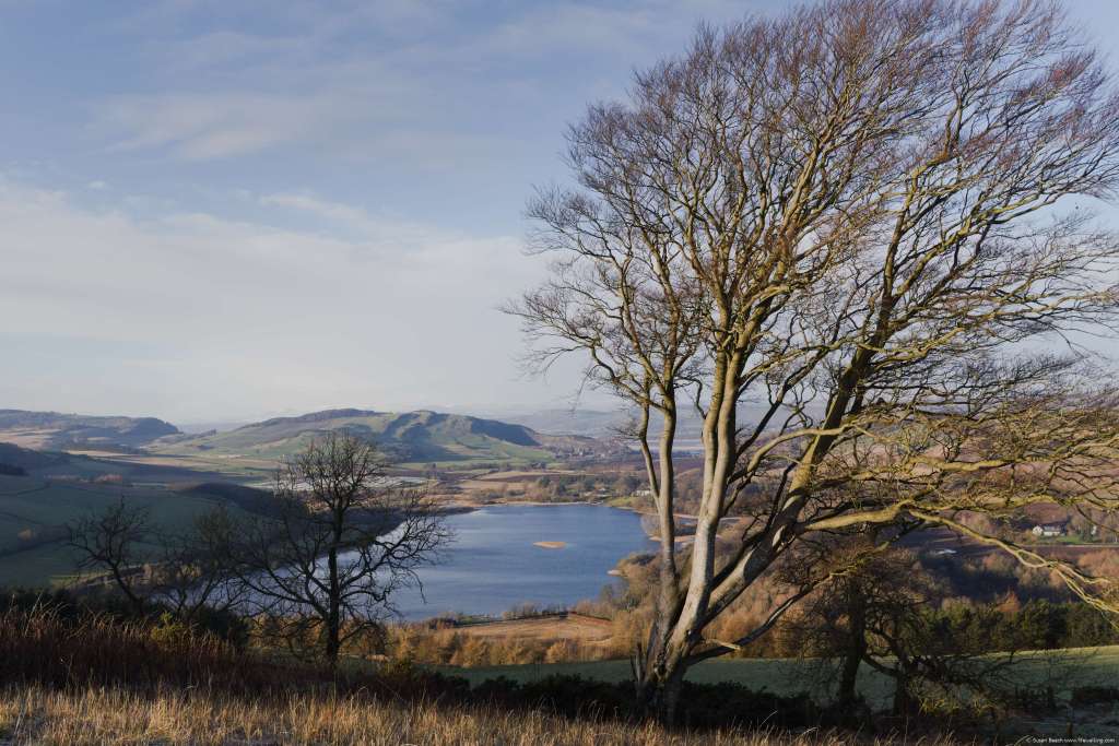 Ormiston Hill from Cairnie Hill