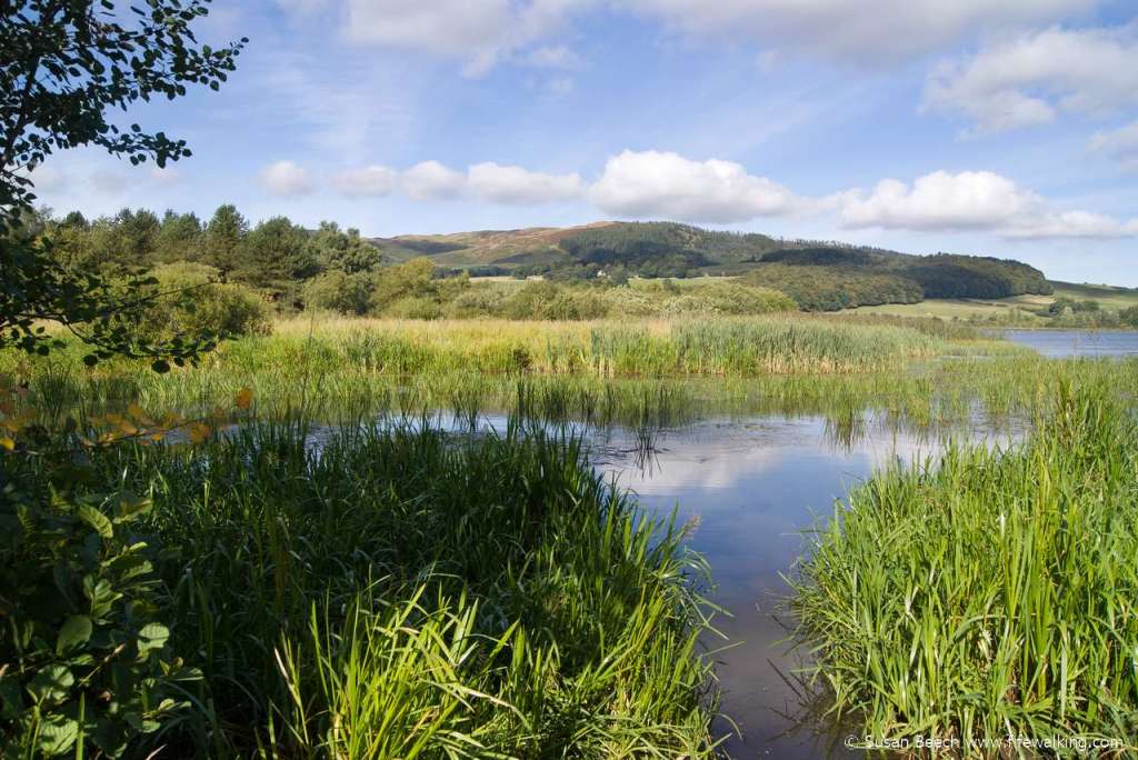 Benarty Hill from Loch Ore