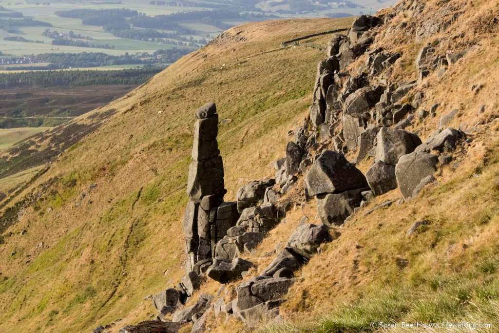 Carlin Maggie, Bishop Hill