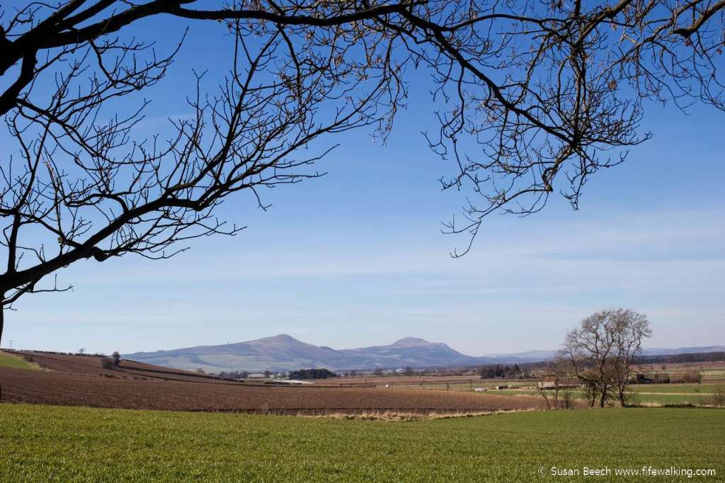 Lomond Hills