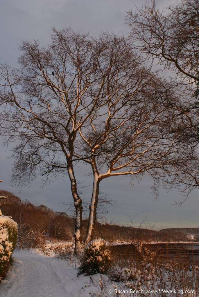 Coastal path, Dalgety Bay