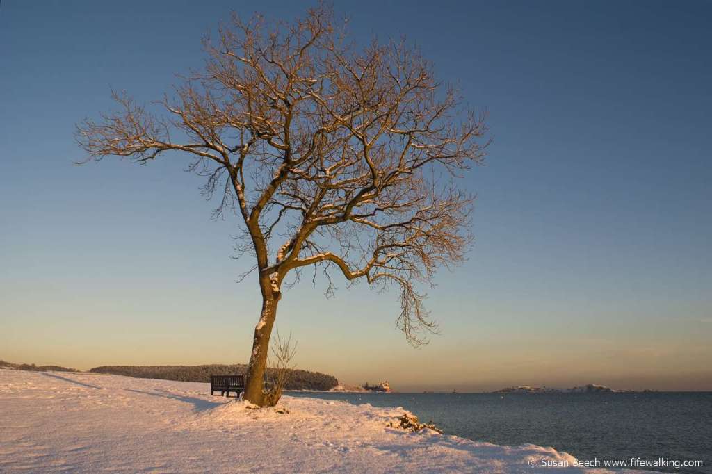 Sailing Club, Dalgety Bay