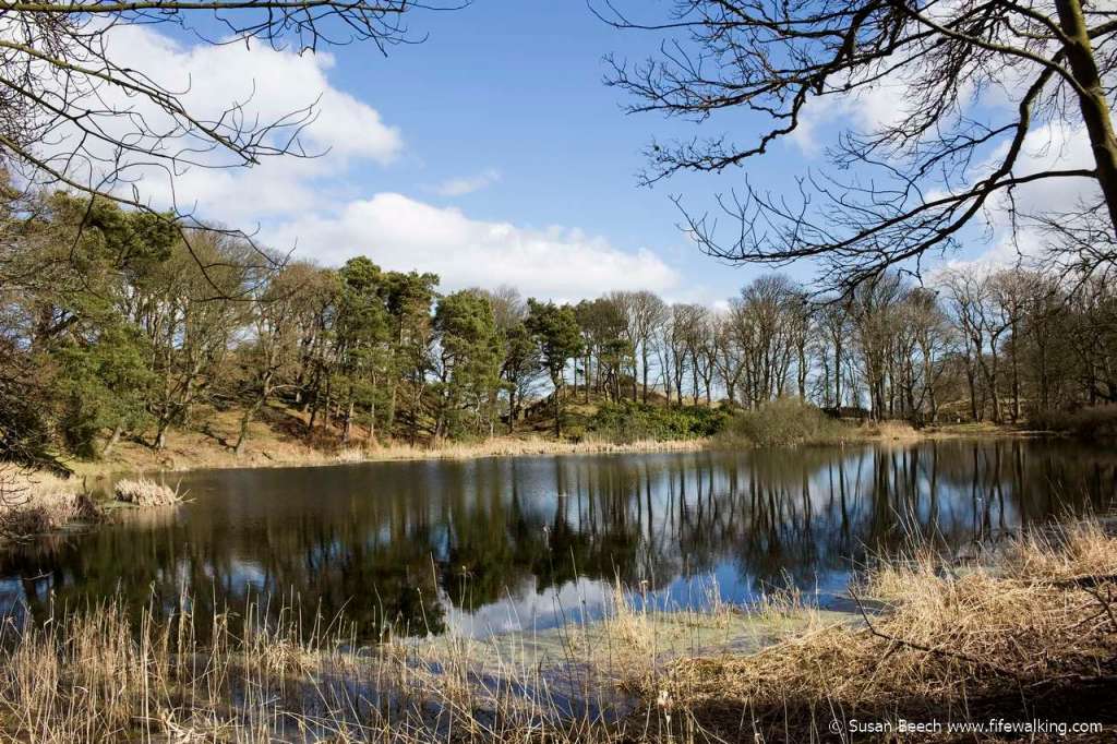 Dunearn Hill, Burntisland