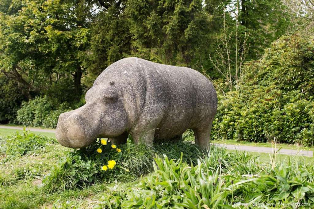 Glenrothes hippo