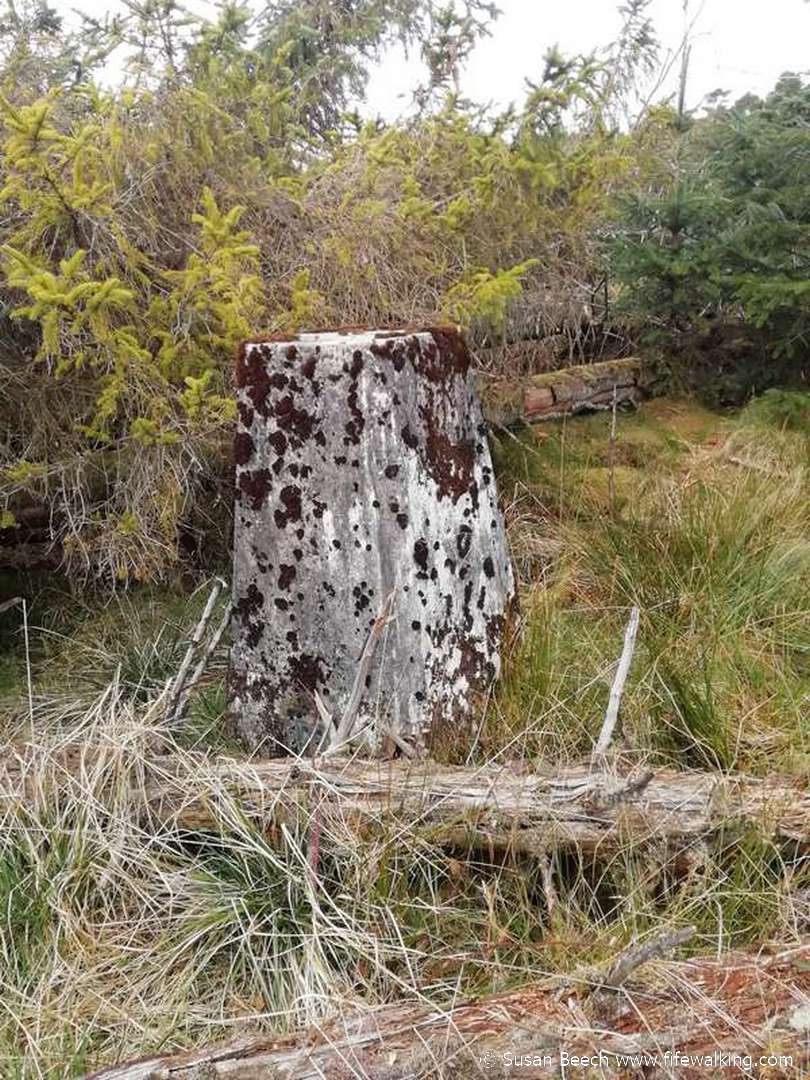 Thornton Wood (Kelty)