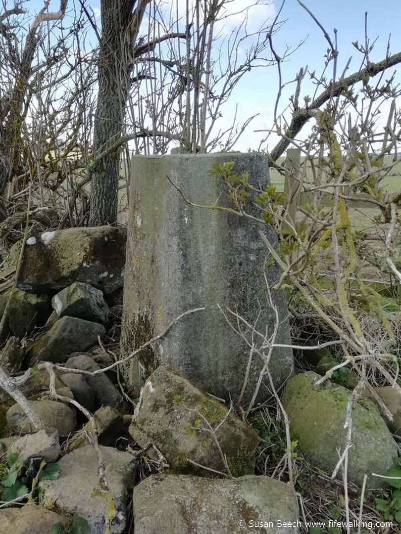 Tyrie Farm (Kirkcaldy)