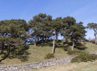 Dunearn Hill, Burntisland