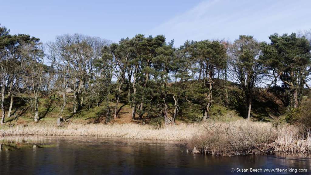 Dunearn Hill, Burntisland