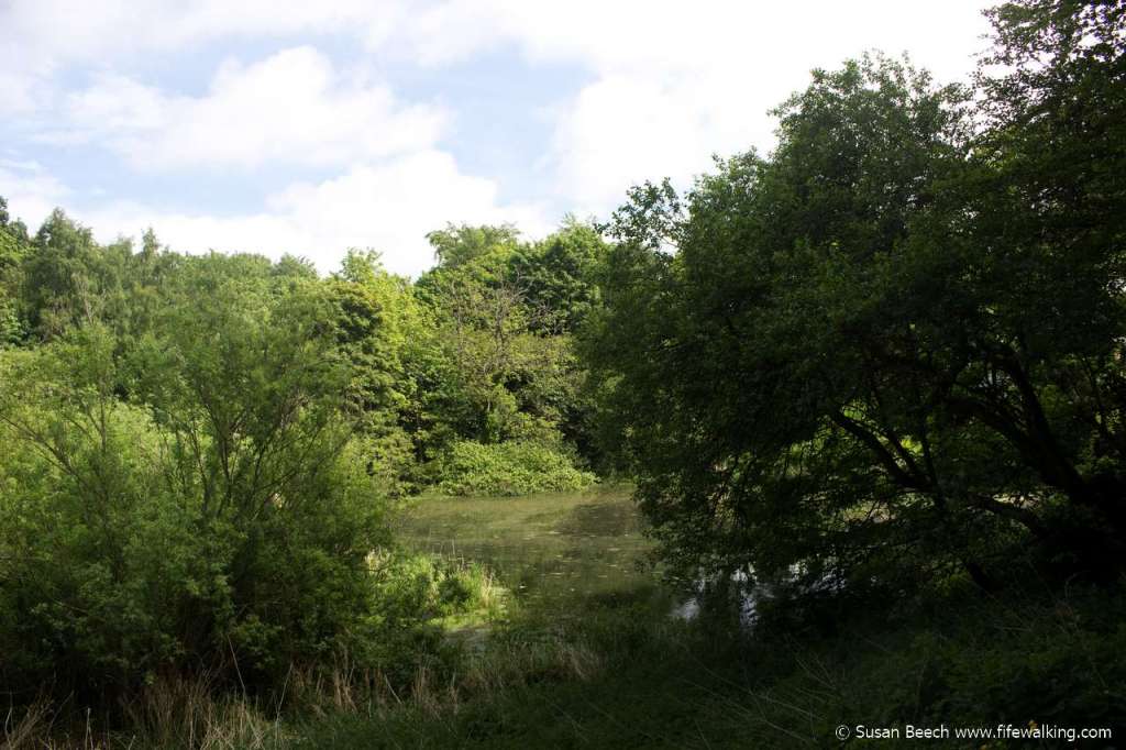 Raith Lake, Kirkcaldy