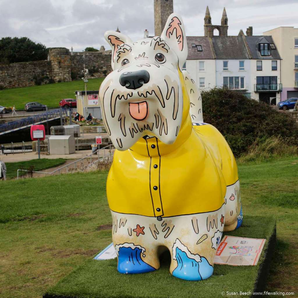 Scottie by the Sea, St Andrews