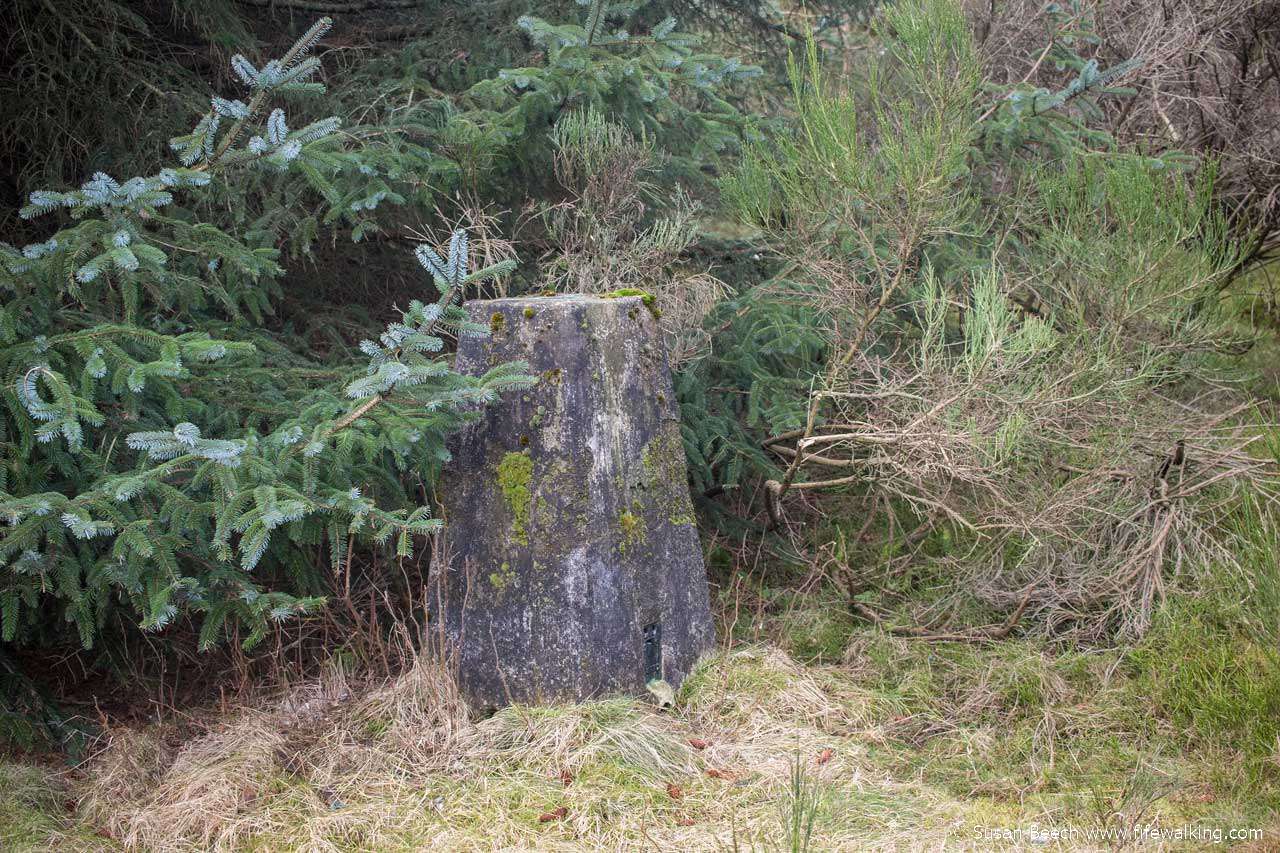 Grange Hill (Woodheads Hill)