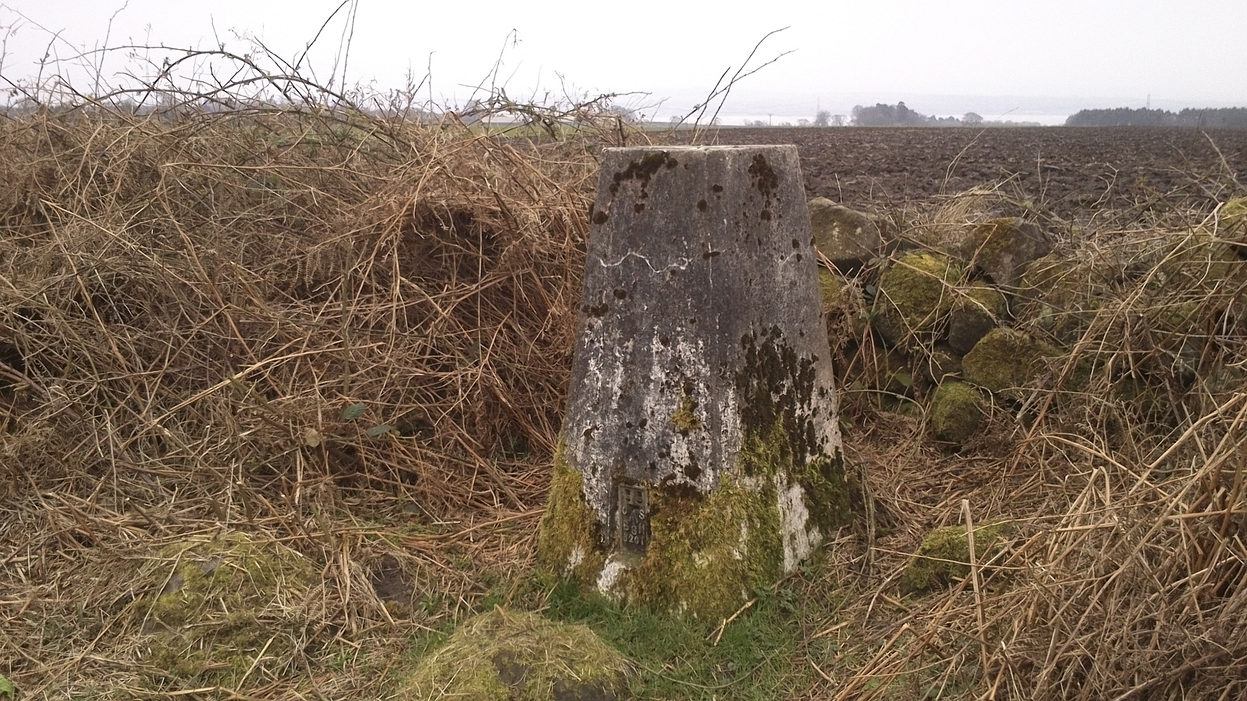 Gallowridge (Rigghead) trig pillar in West Fife