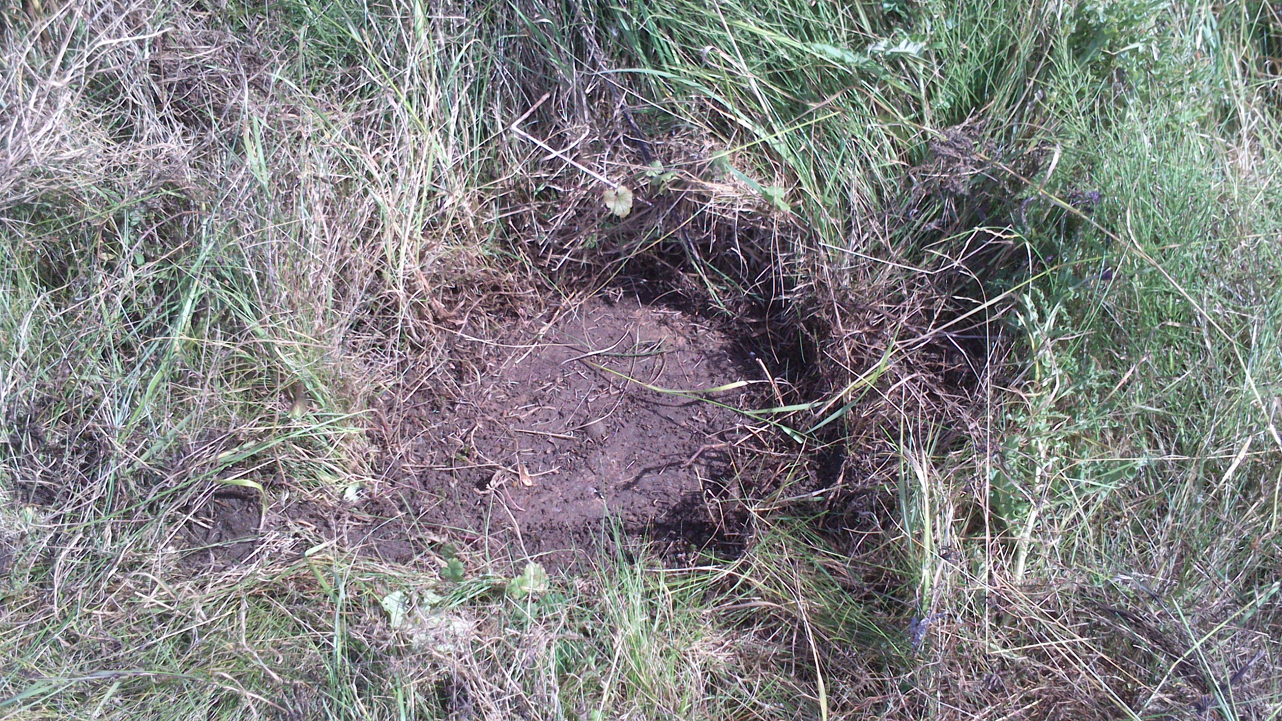 Kinsleith  (Parbroath) surface block trig point