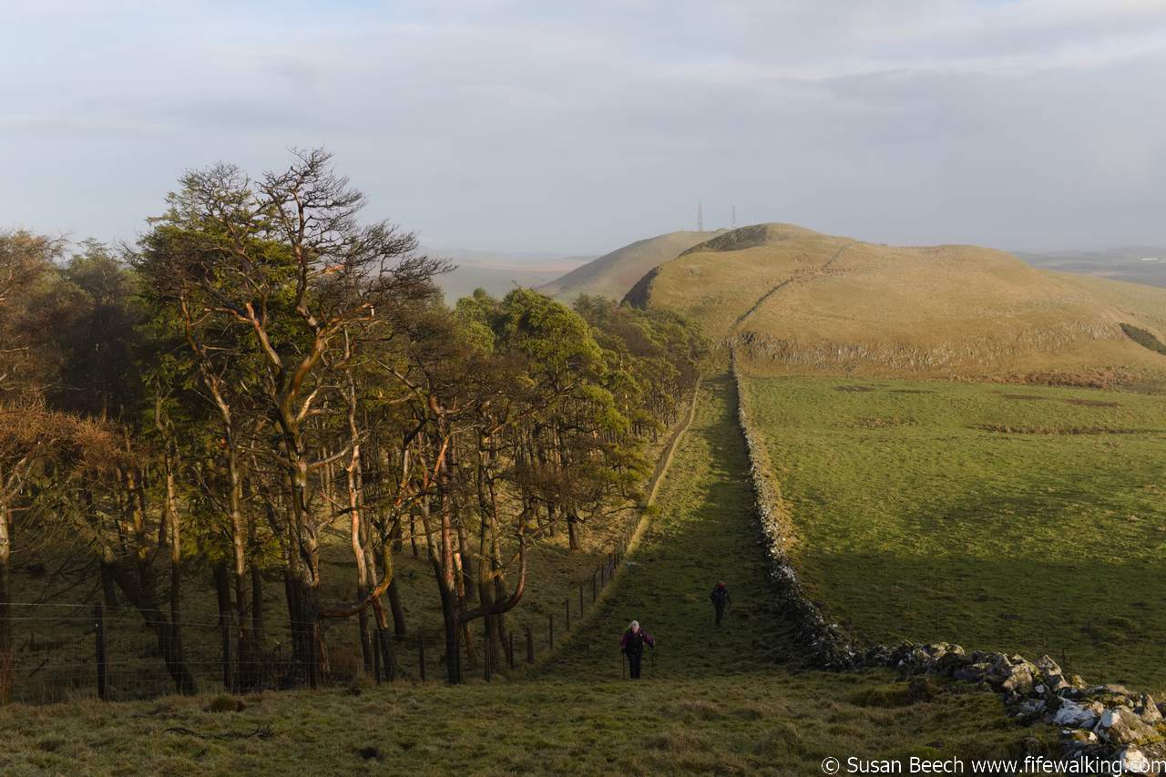 Knock HIll and East Craig from Saline Hill