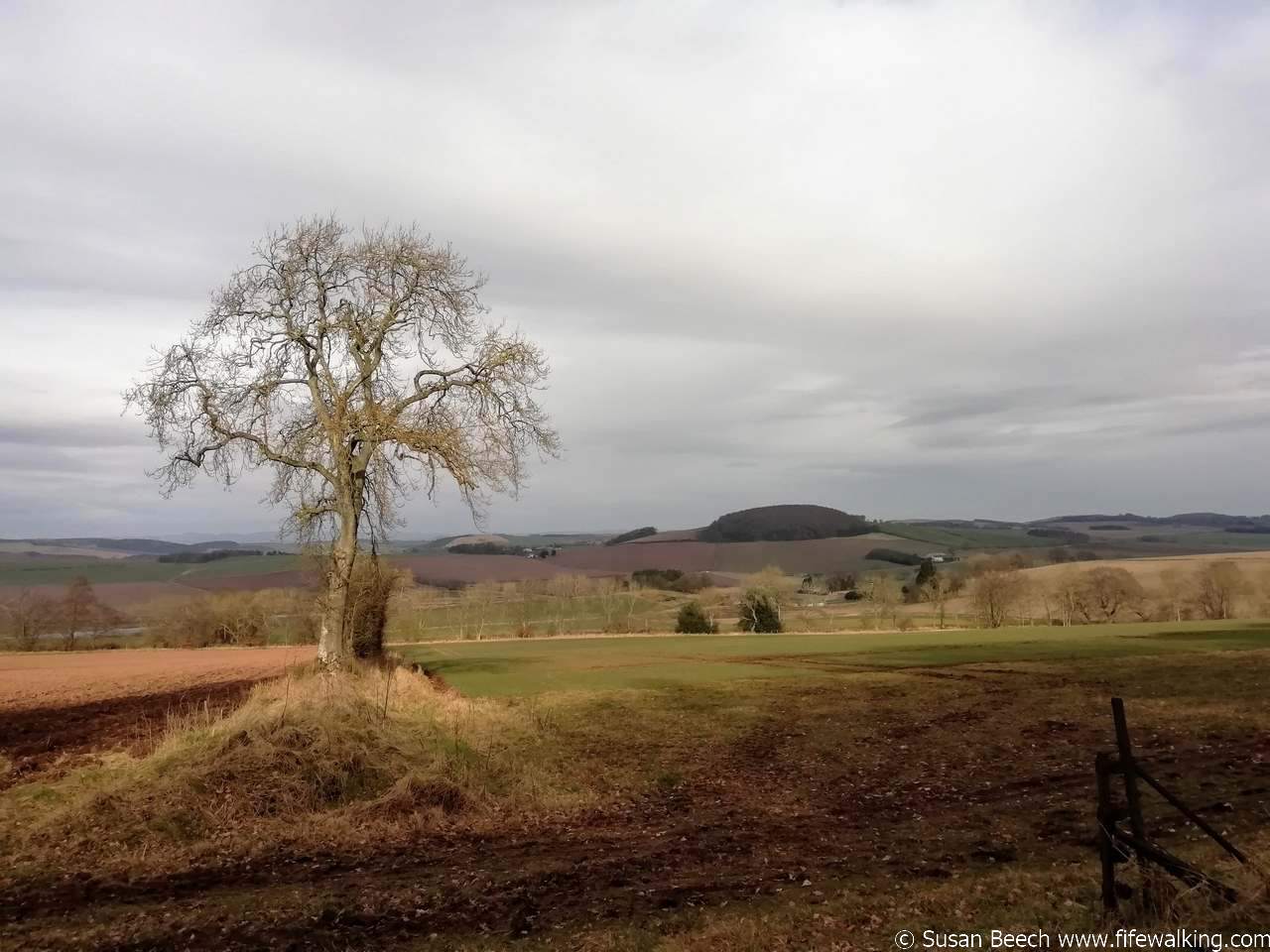 Kilmaron Hill looking to Myrecairnie HIll