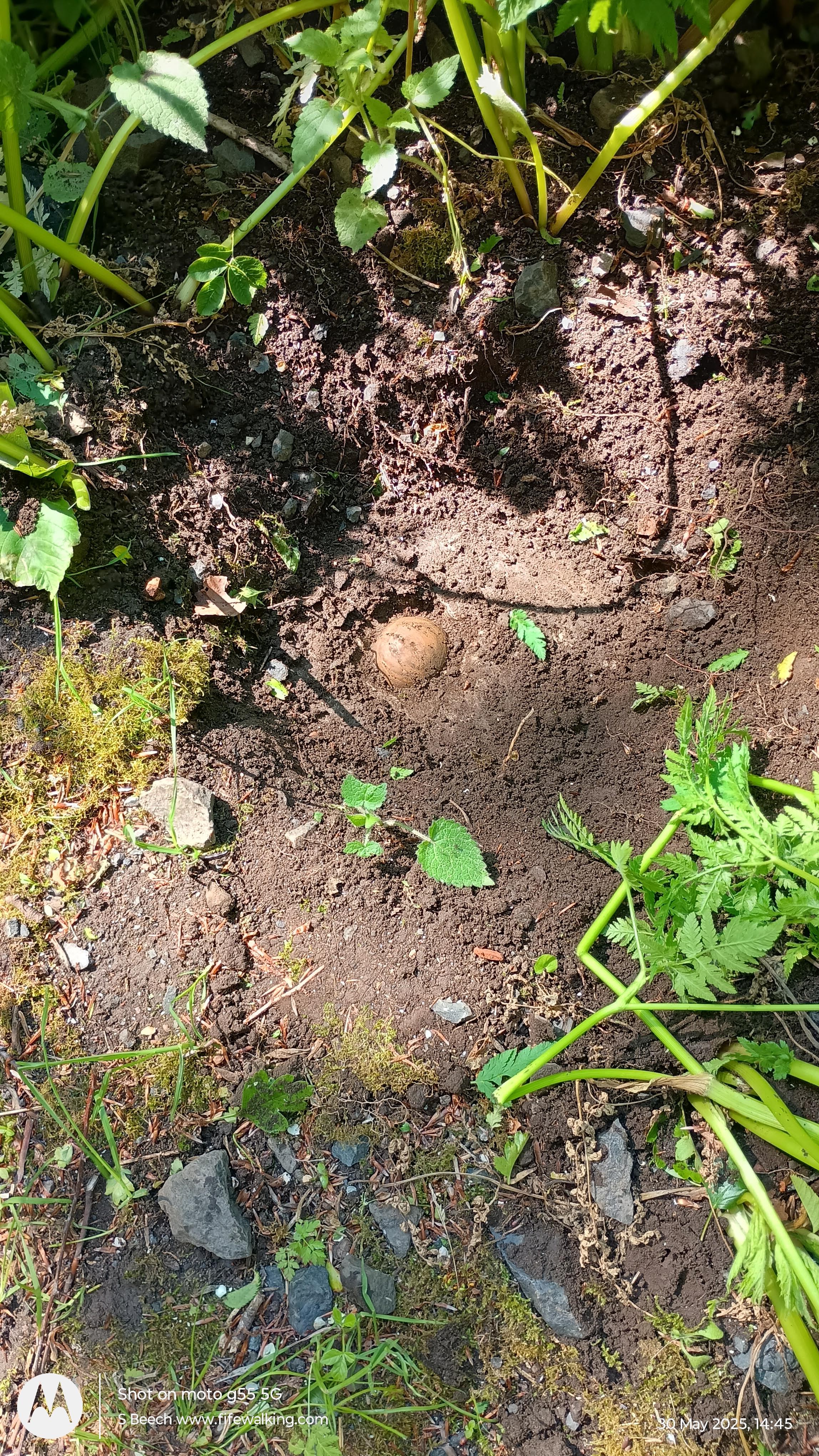 Bankhead trig point, Kirkcaldy