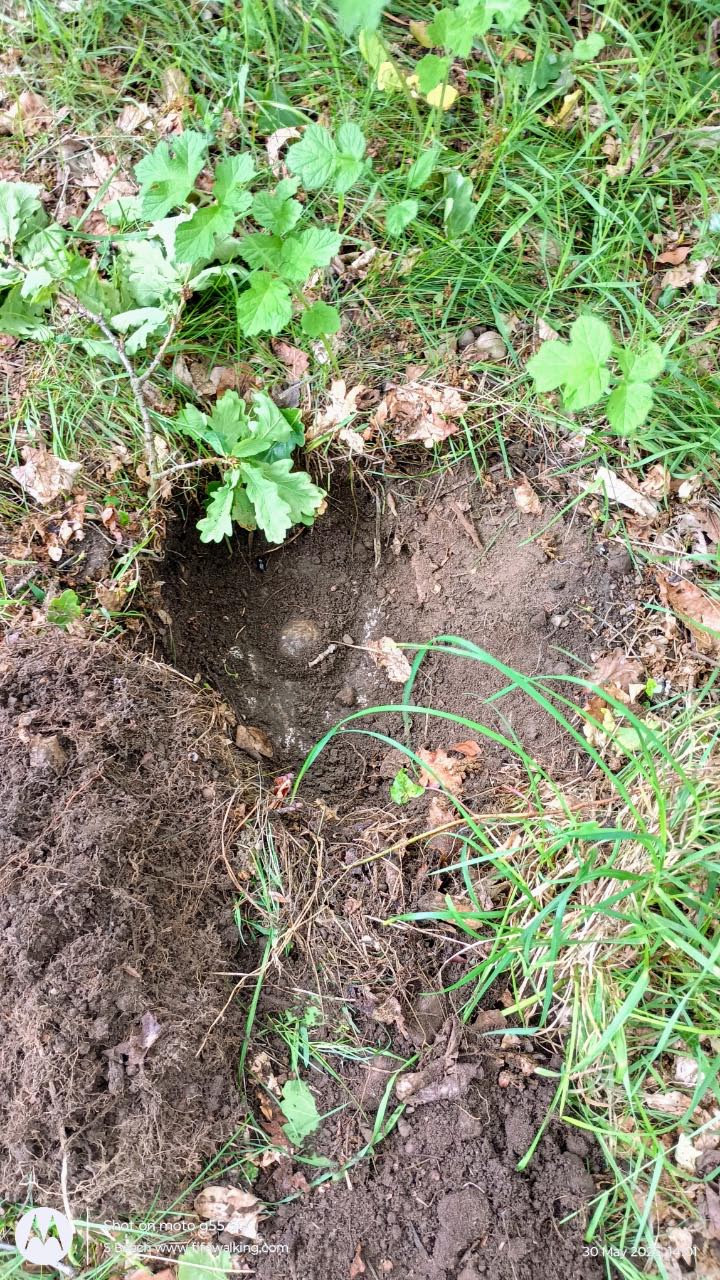 Markinch War Memorial trig point
