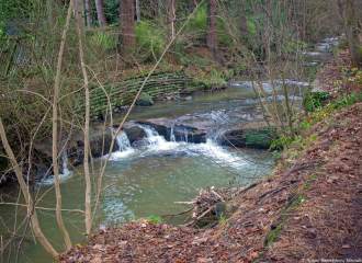 Lade Braes Walk St Andrews